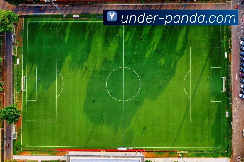 熊猫体育平台生态图