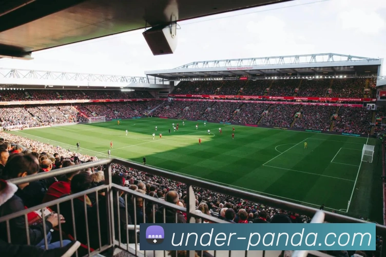 熊猫体育全站App